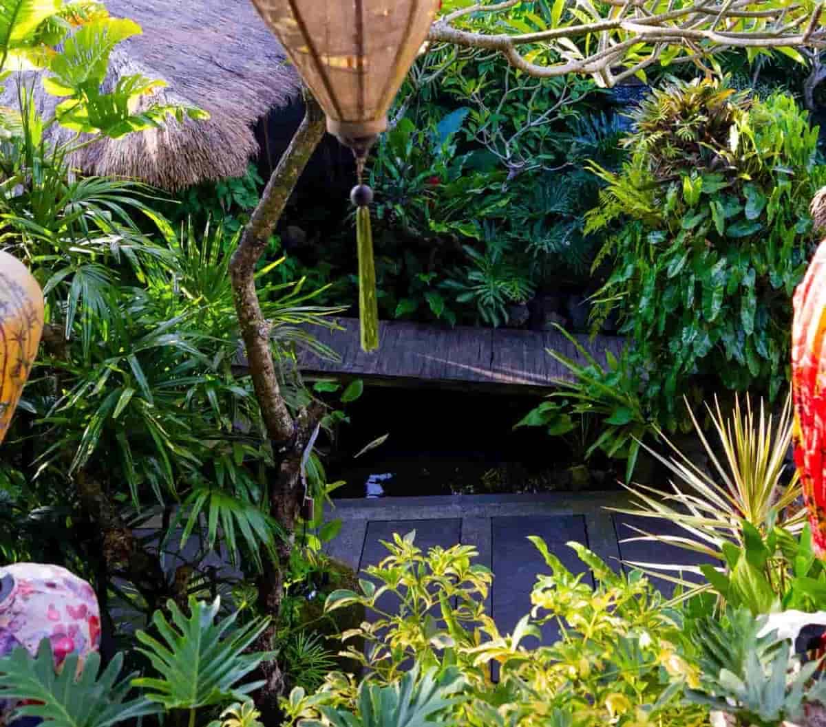 Garden overhead view with lanterns